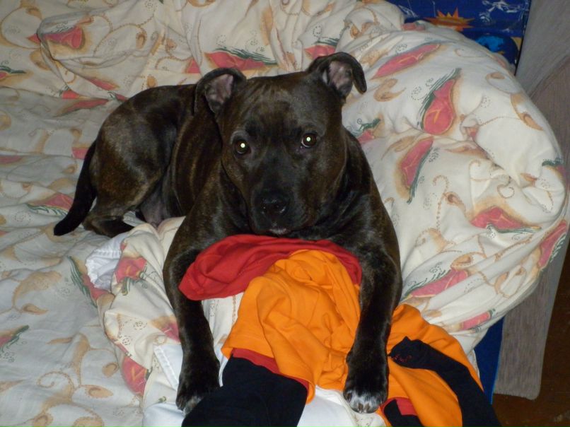 Олег Калинкин | Печоры