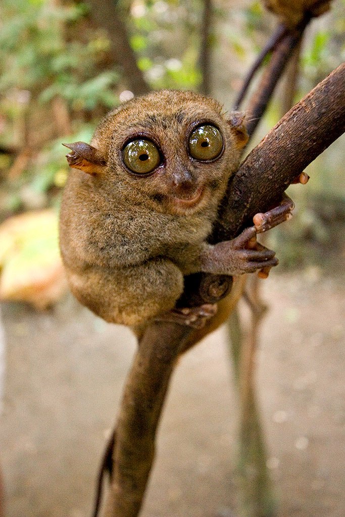 Игорь Савулев | Москва