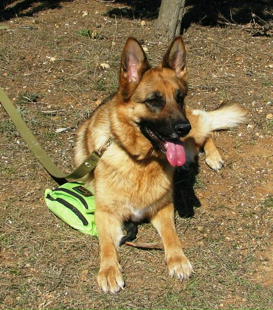 №20, Руслан Гордеев, Львов №20, Руслан Гордеев, Львов