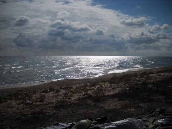 Саша Курмис | Полтава