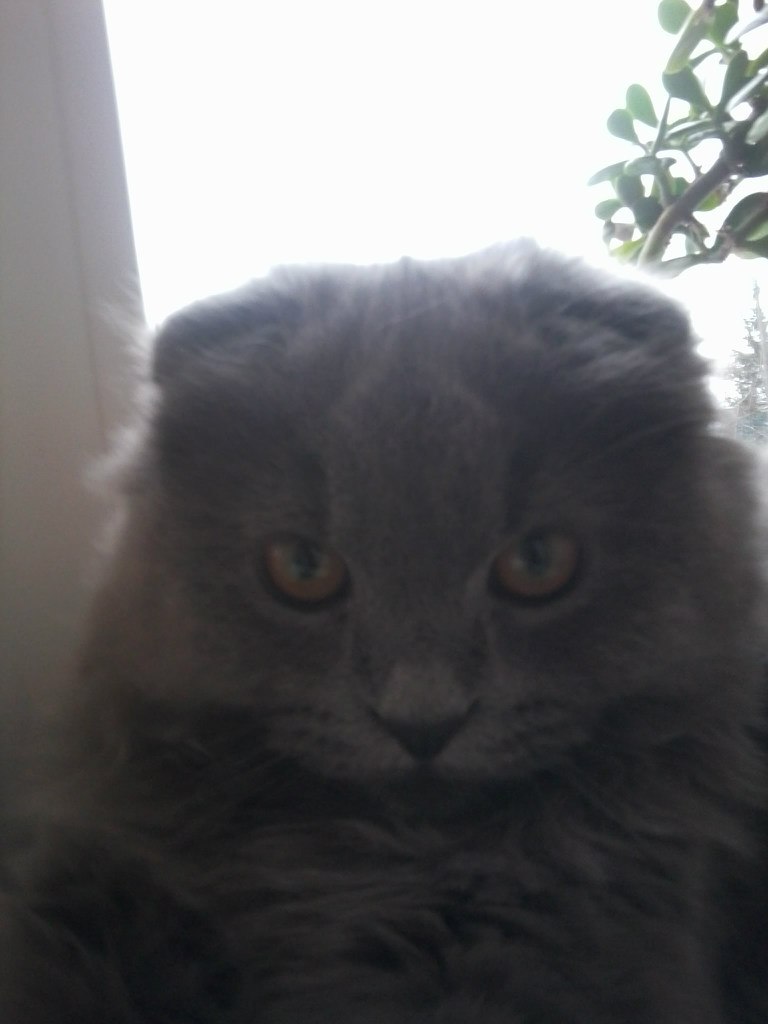 Игорь Парамонов | 