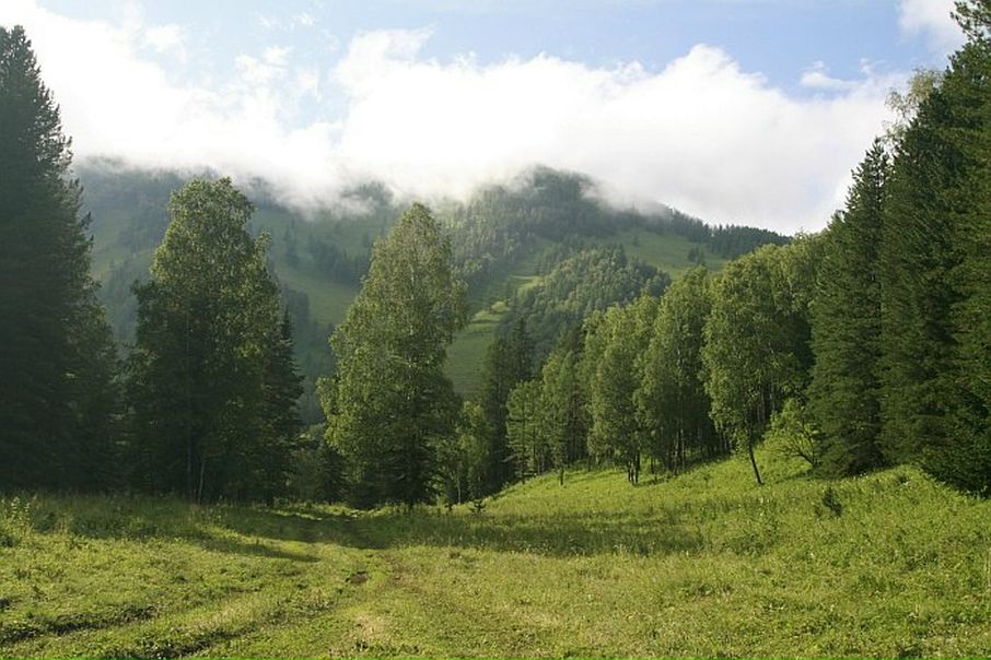 №46, Светлана Петровых, Екатеринбург №46, Светлана Петровых, Екатеринбург