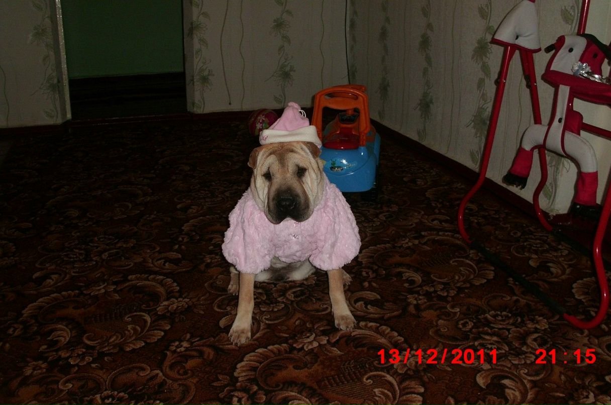 Вован Грищенко | Херсон