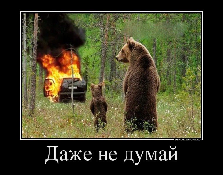 Коля Боднар | Черновцы