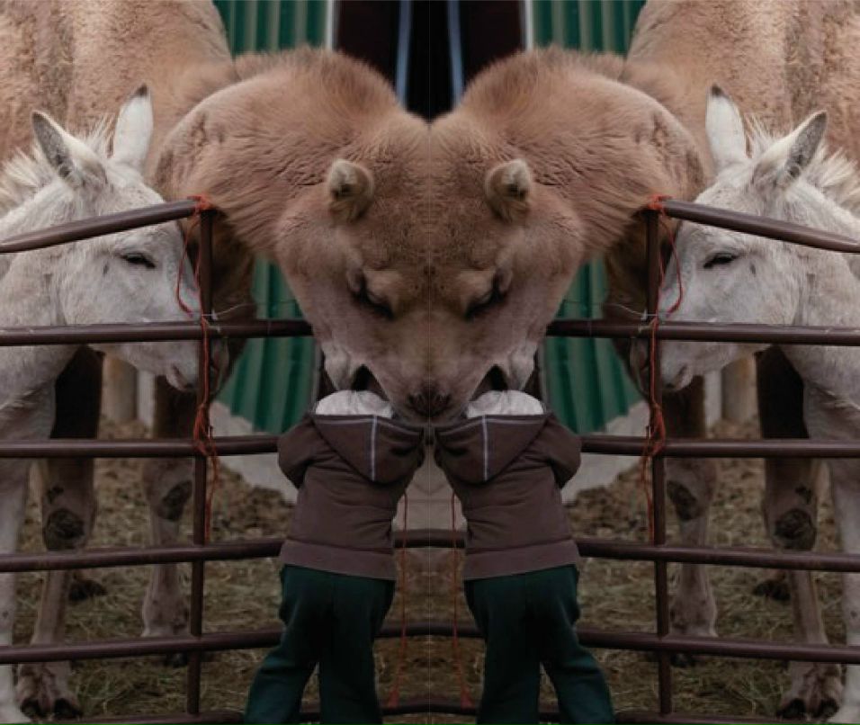 Monsta-Zar Zar | Вавилон