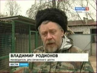 Профессиональная дрессировка собак Рязань. Рязанские кинологи об законопректе