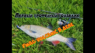Первый крупный голавль на TsuYoki Rival. Поймал жереха на Fanatik Gipnoz. FMAG Volcanic в деле
