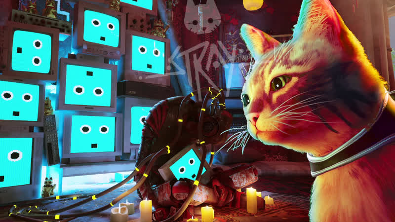 КИСКА В ЗОНЕ РИСКА Stray, 4