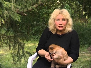TV story about breed chow-chow in Le-Pash kennel