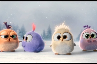 Angry Birds вітають зі Святами!