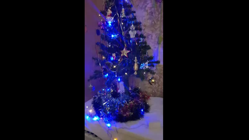 20201231_133617_1.mp4