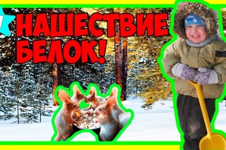 WOW! НАШЕСТВИЕ БЕЛОК! ВИТЯ КОРМИТ БЕЛОК и ГОНЯЕТ...
