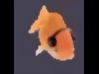 Fish flex