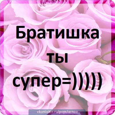 Евгения Ерохина |