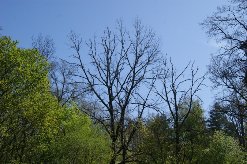 Константин Фомин |