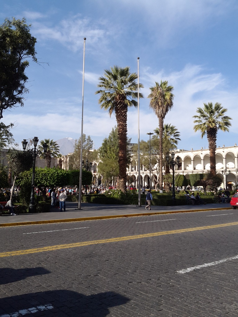 Olga Dobrova-Shkuratyuk | Краснодар