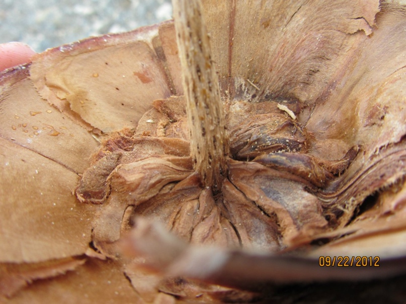 Серёга Рыженков | Москва