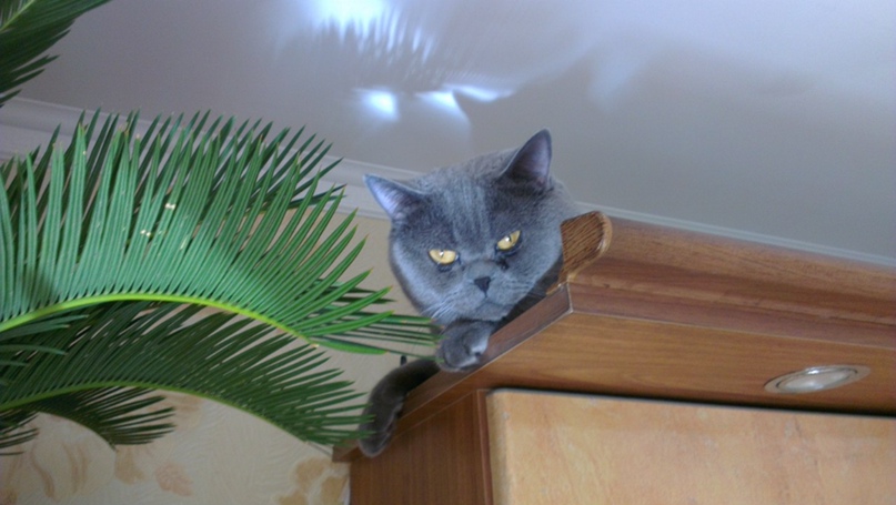 Павел Гончаров | Санкт-Петербург