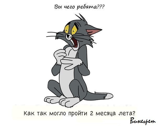 Михаил Цветков ~МИШ~ | Санкт-Петербург