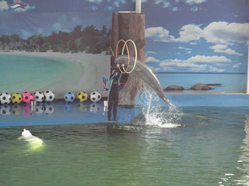 Ксения Кузнецова ♥ ♥  ♥ ♥ | Прокопьевск