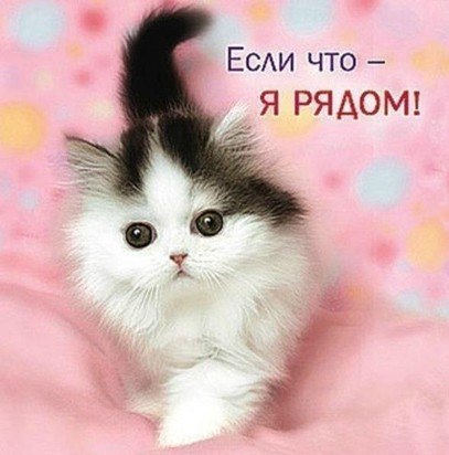 Даша Зуева | Днепр (Днепропетровск)