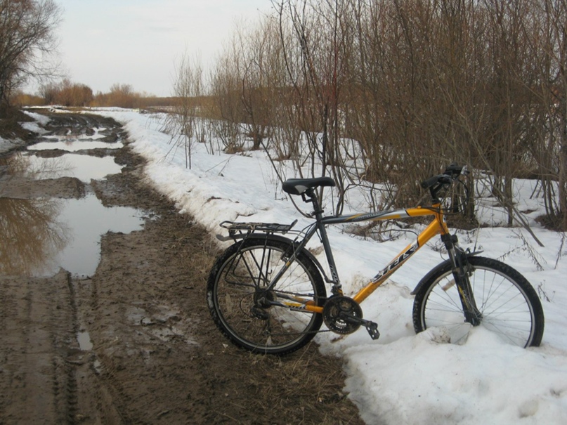 Сергей Петухов | Котлас
