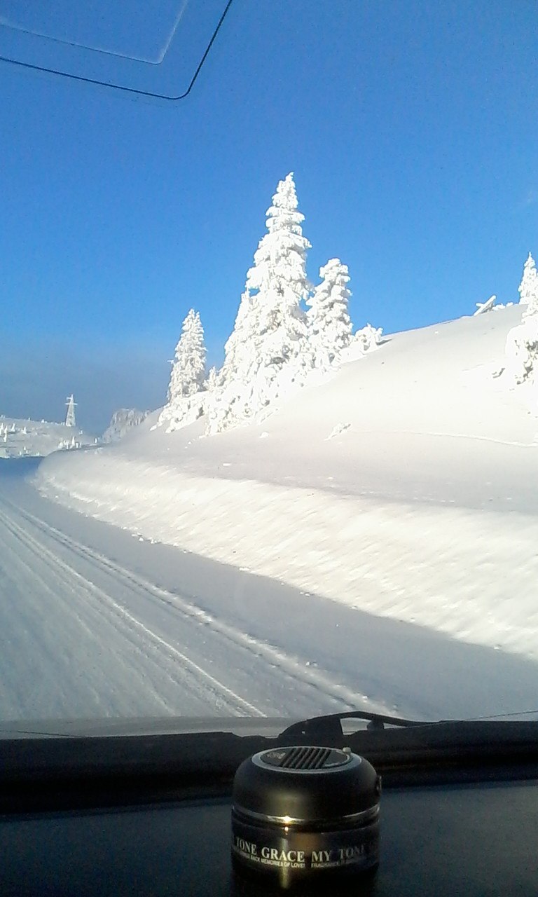 Яна Левина | Ростов-на-Дону