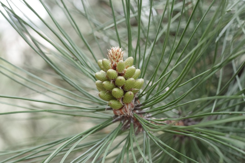 Серёжа Попов | Харьков
