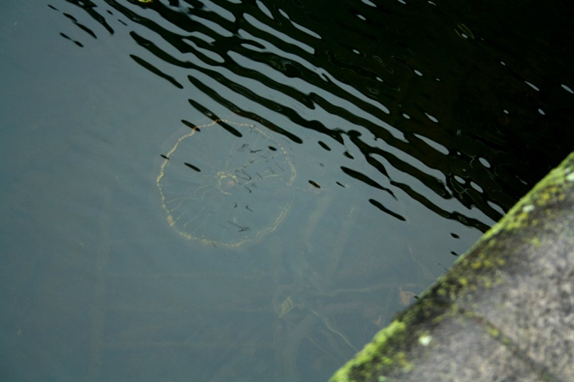 Наталья Кузнецова | Москва