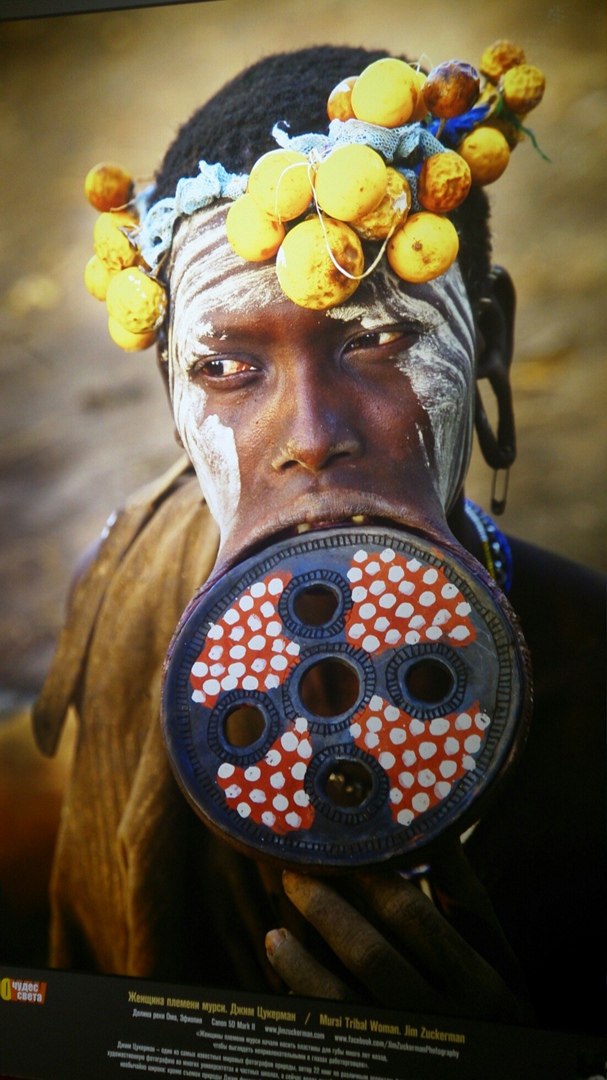 Надежда Чистякова | Екатеринбург