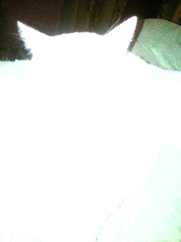 Светлана Василевская | Чебоксары