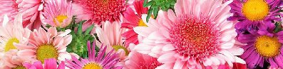Алсу Сафина | Казань
