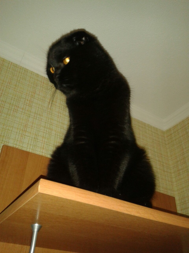 Ирина Константинова | Киров