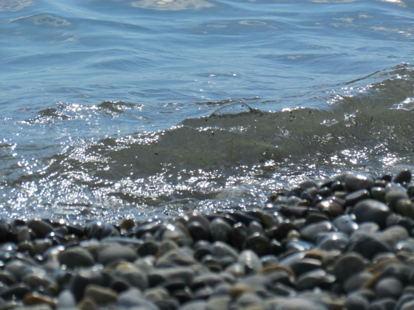 Татьяна Давыдова | Курган