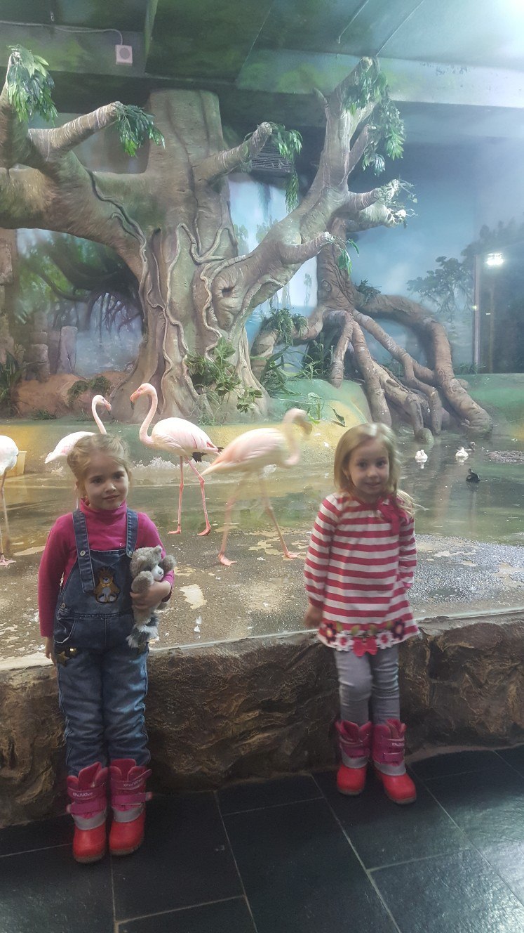 Александра Новохацкая | Сергиев Посад