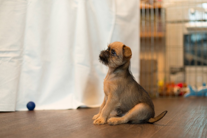 Ирина Гуревич | Челябинск