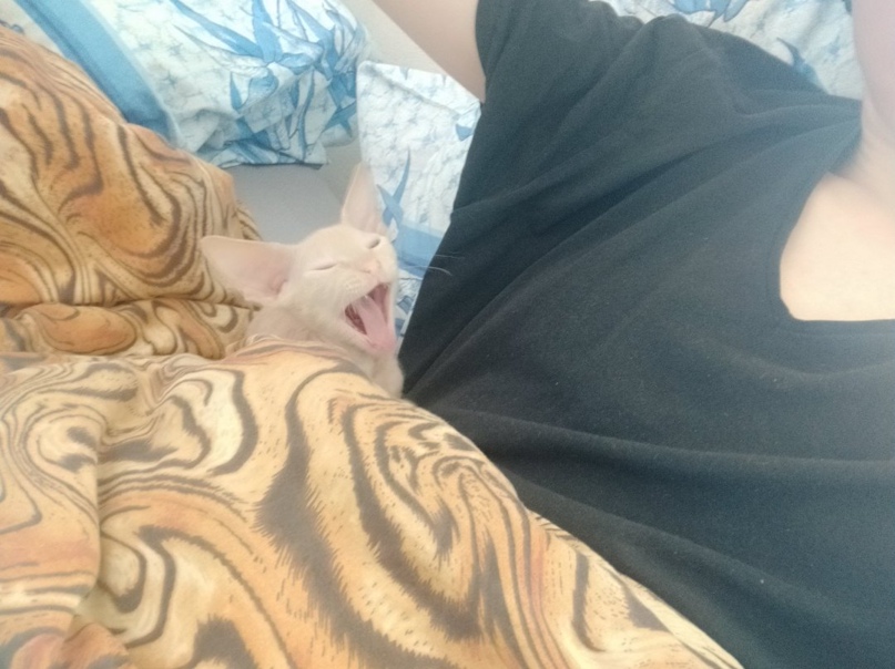 Александра Сухова | Санкт-Петербург