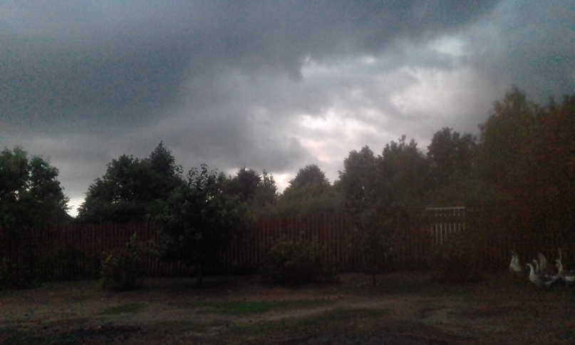 Люда Федорова | Молодечно