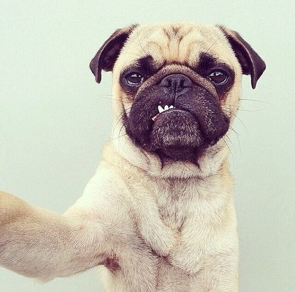 Никита Погорелов | Воронеж