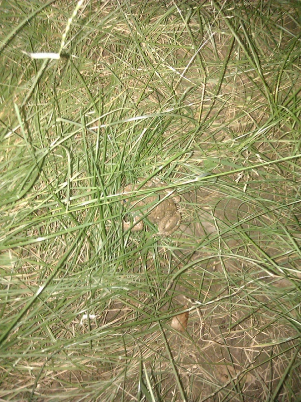 Андрей Ковшов | Красноярск