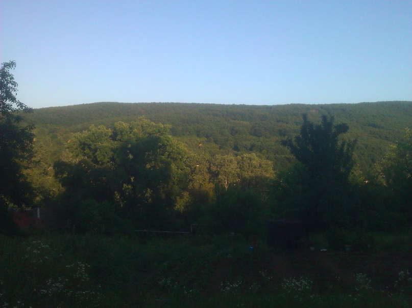 Кирилл Мирошников | Краснодар