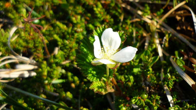Сергей Кондратюк | Мурманск