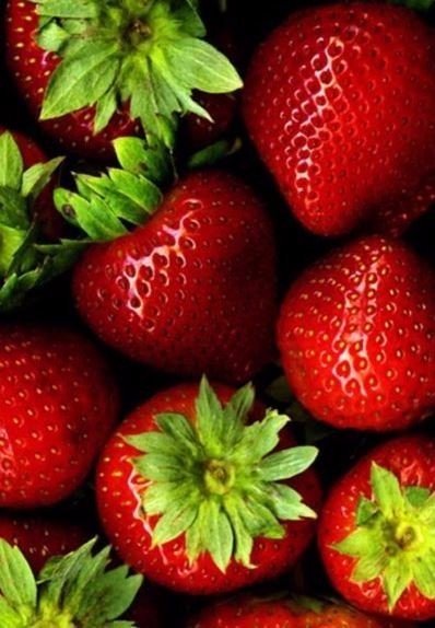 Евгения Яковлева | Вологда