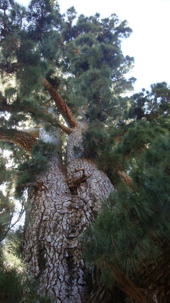 Виталий Фадеев | Кириши