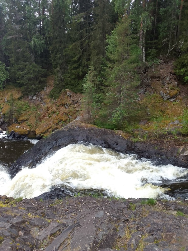 Любовь Уткина | Санкт-Петербург