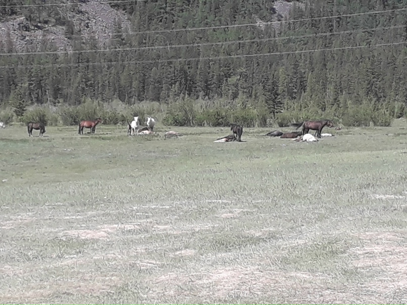 Ирина Абрамова | Кемерово