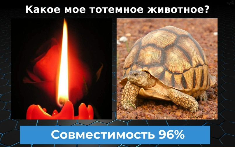 Анна Михальченко | Кондопога