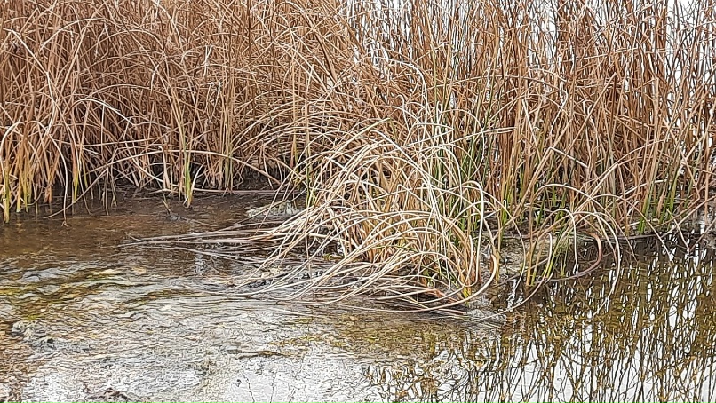 Елена Лукина | Миасс