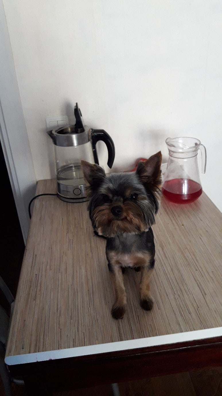 Ирина Щёкотова | Новочебоксарск