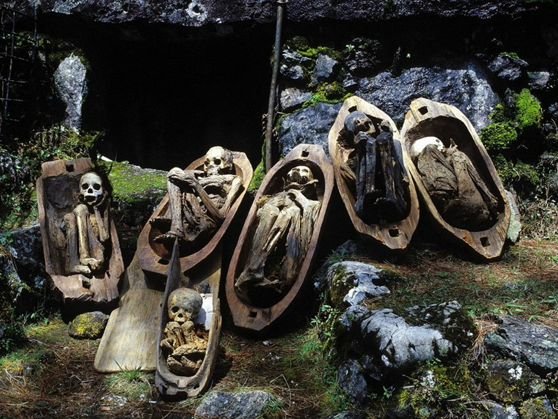 УДИВИТЕЛЬНО, НО ФАКТ… (Часть 54), изображение №52